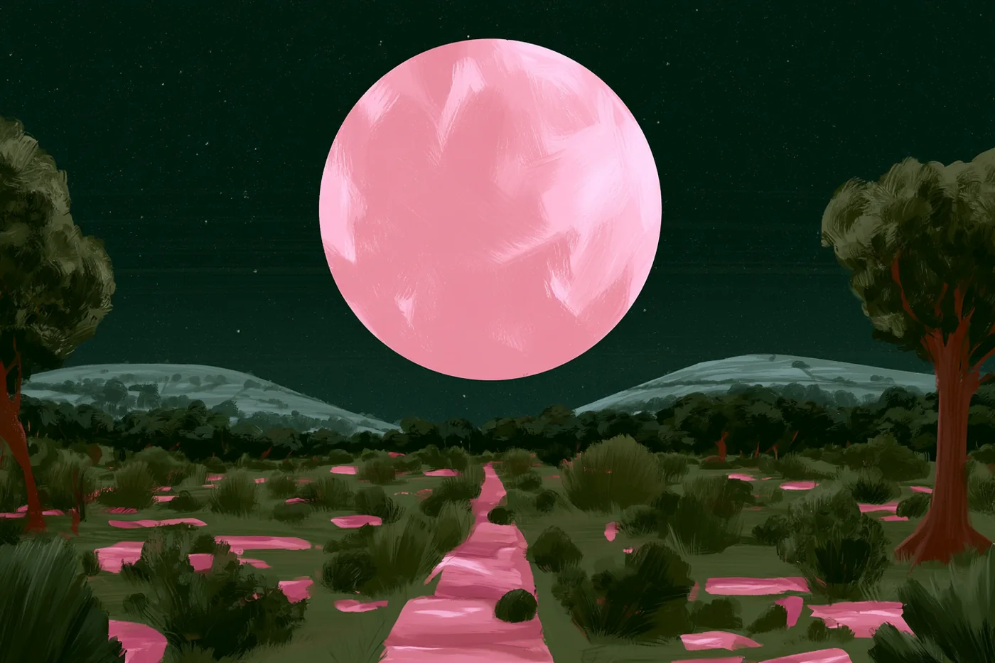 Luna llena rosada gigante sobre un camino que cruza un campo de matorrales de noche